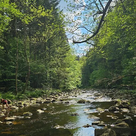 Herz³ Hohenau